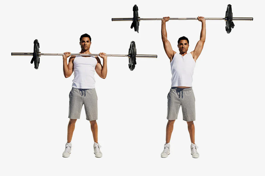 shoulders