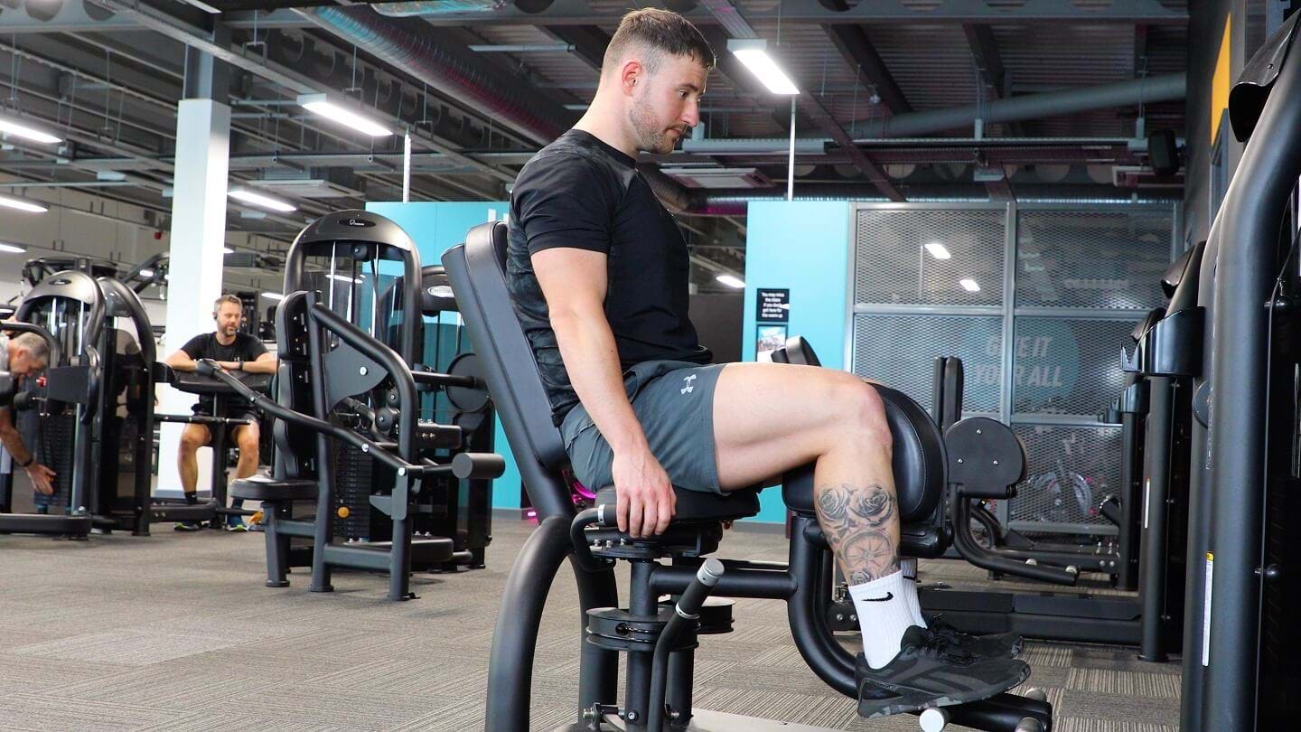 adductors