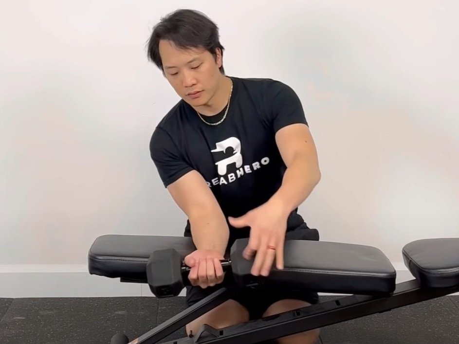 forearms