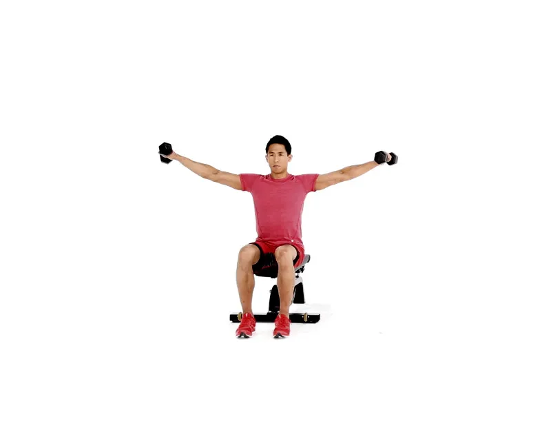 seated side lateral raise