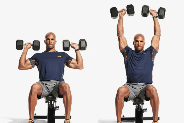 dumbbell shoulder press