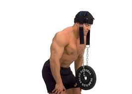 neck