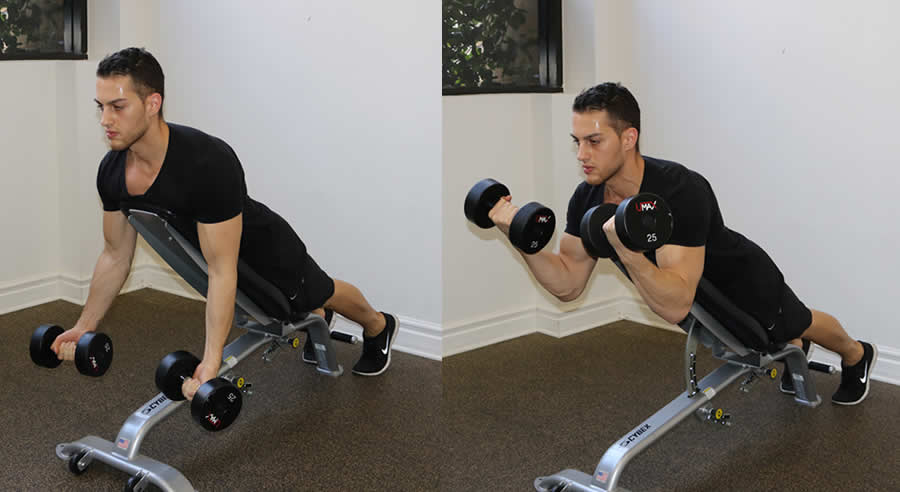 dumbbell prone incline curl
