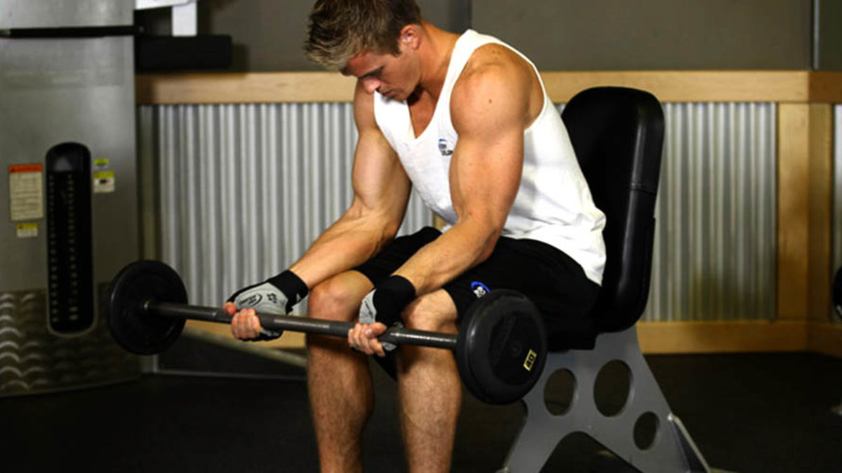 forearms