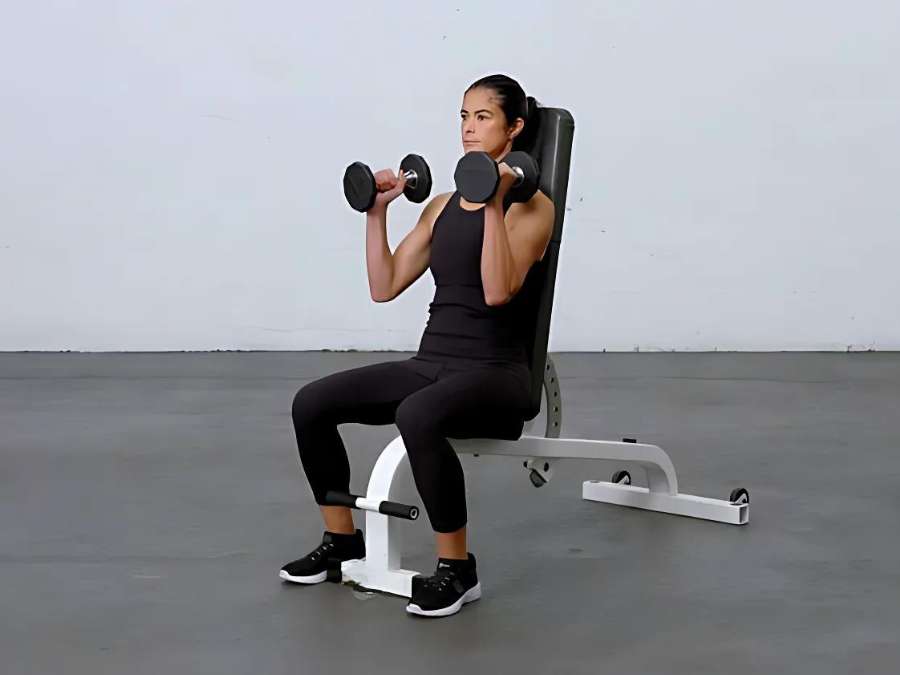 seated dumbbell inner biceps curl
