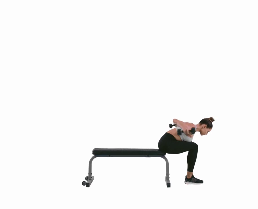 seated bent-over rear delt raise