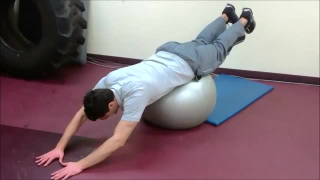 glutes