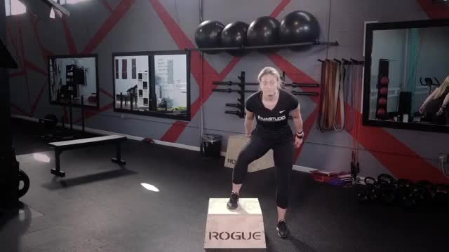 adductors