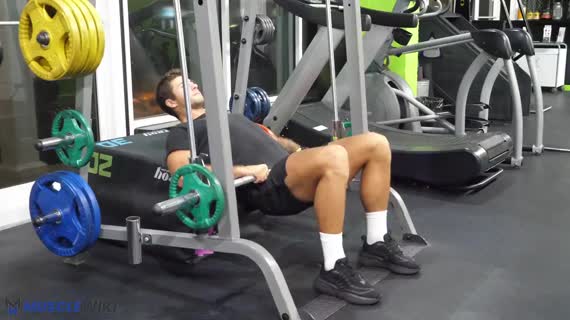 abdominals
