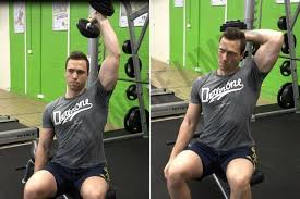 sled overhead triceps extension