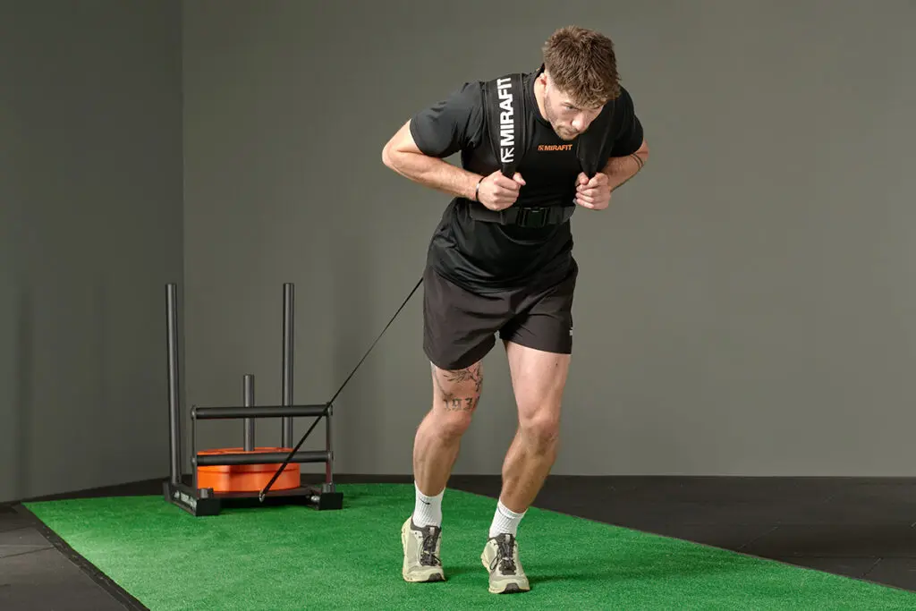 sled drag - harness
