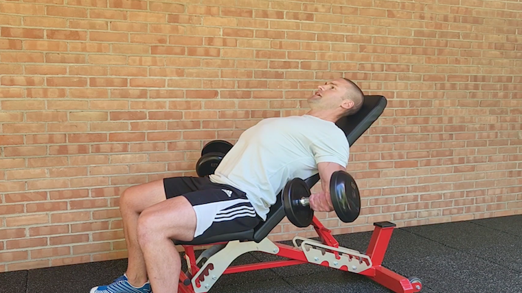 flexor incline dumbbell curls