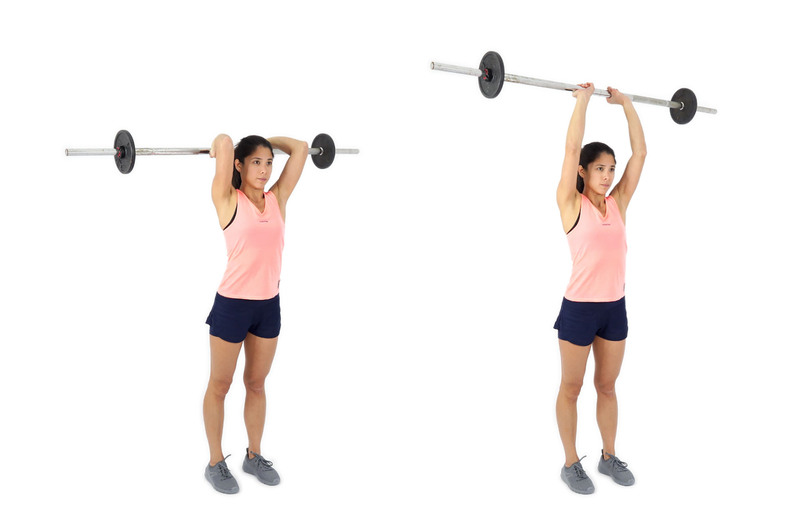 triceps