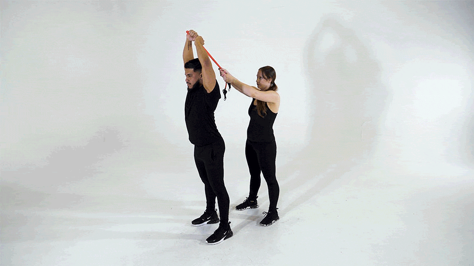 triceps