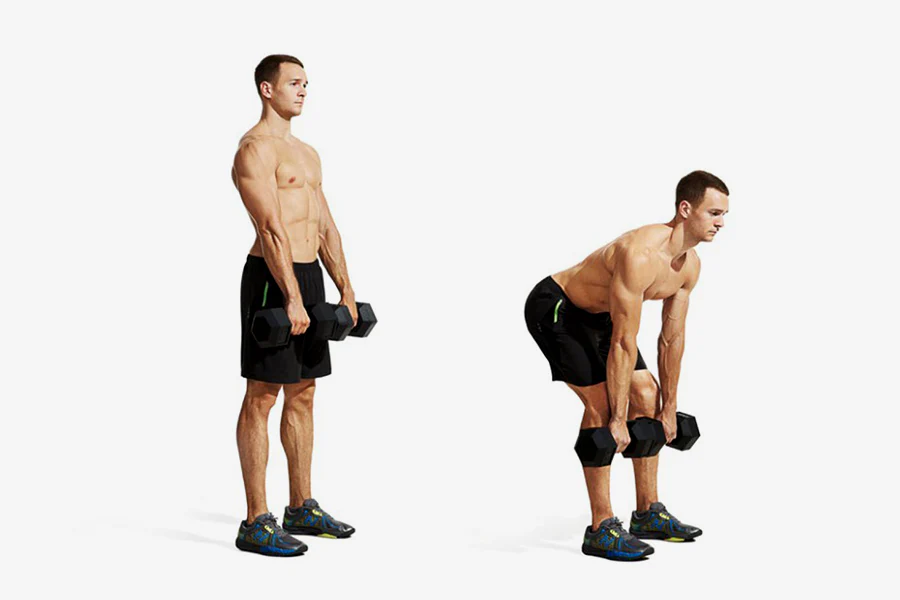 stiff-legged dumbbell deadlift
