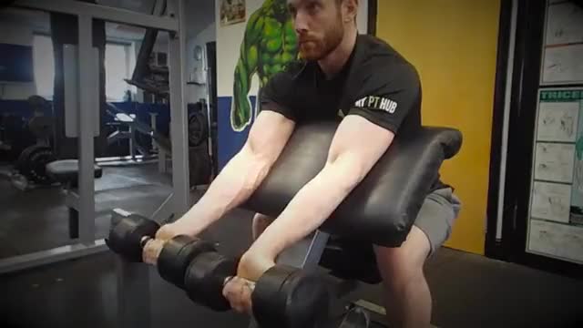 biceps