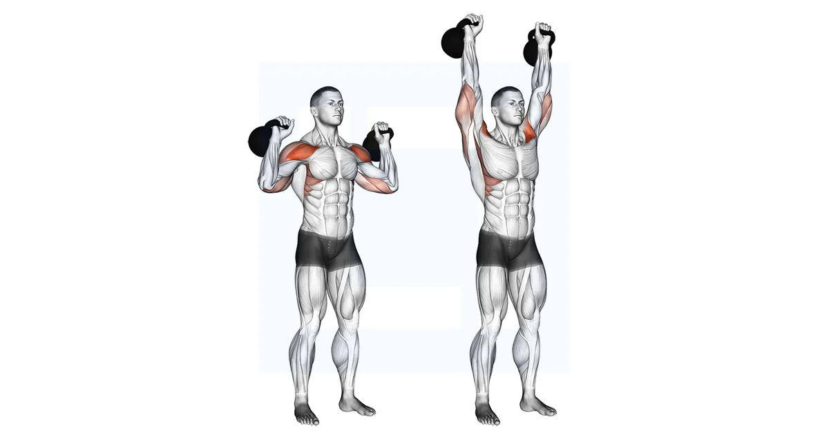 shoulders