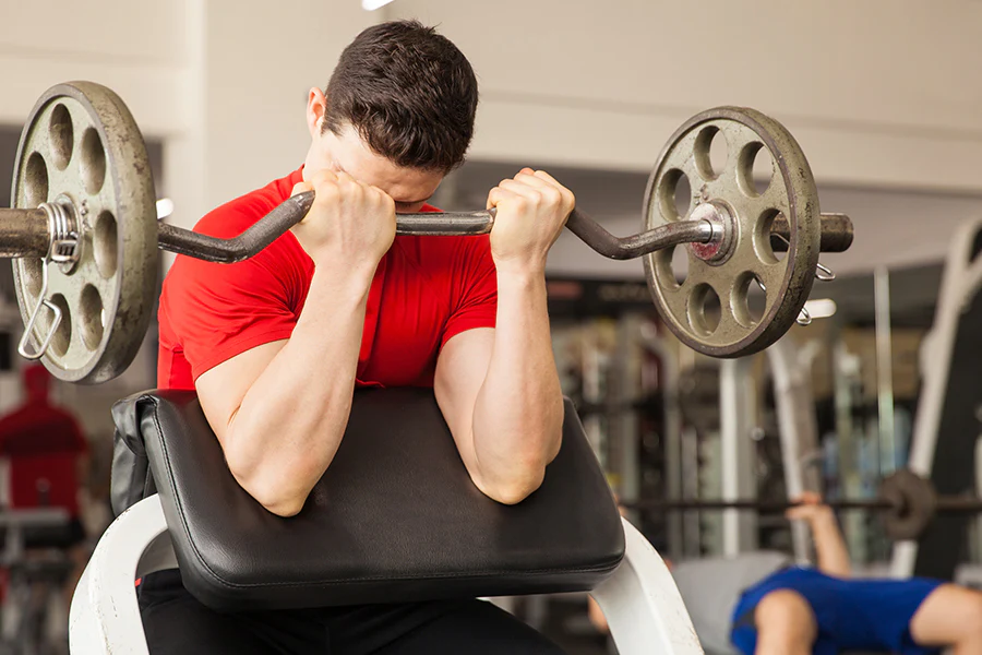preacher curl