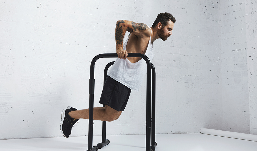 parallel bar dip