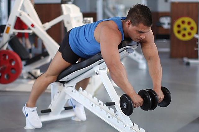 reverse flyes with external rotation