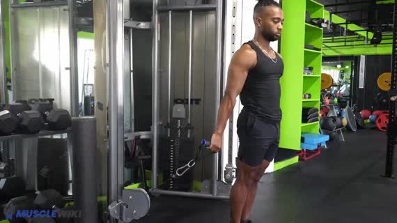 biceps