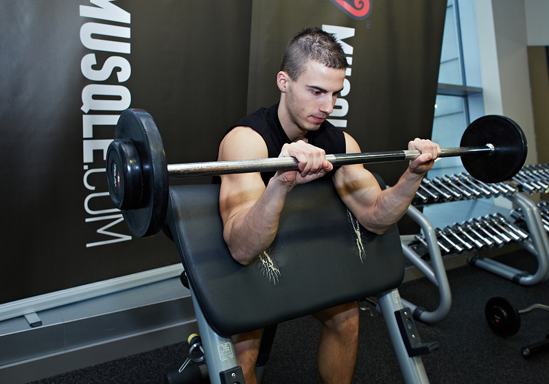 biceps